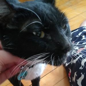 Meet your Posher, Rae